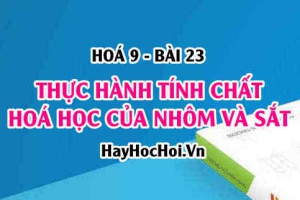 Thực hành thí nghiệm nhôm tác dụng với oxi, sắt tác dụng với lưu huỳnh và cách nhận biết Al, Fe - Hoá 9 bài 23